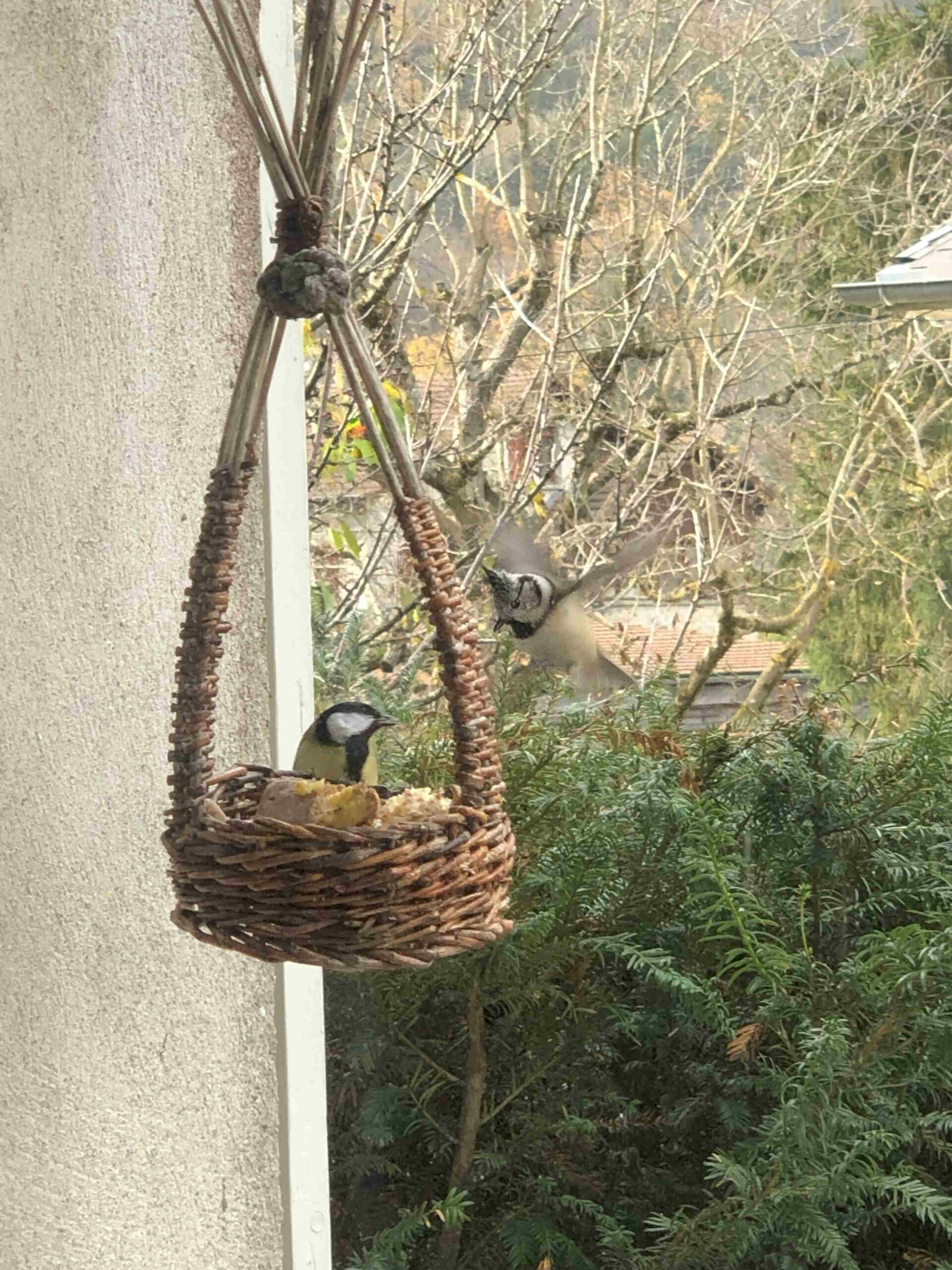 Mangeoires oiseaux du ciel réalisée par Frédérique roche