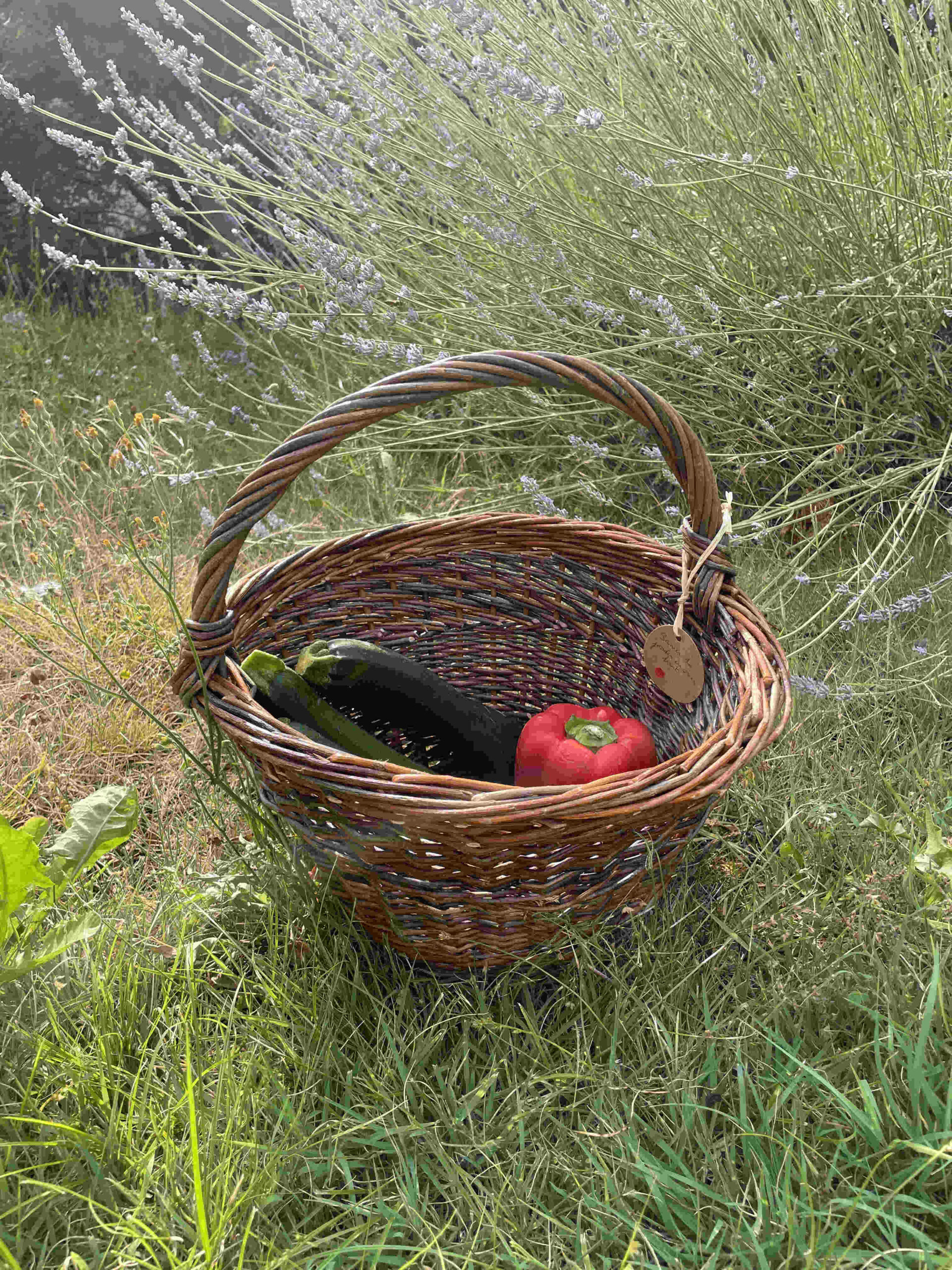 Panier rond de taille moyenne en osier blanc et brut réalisé par Frédérique Roche